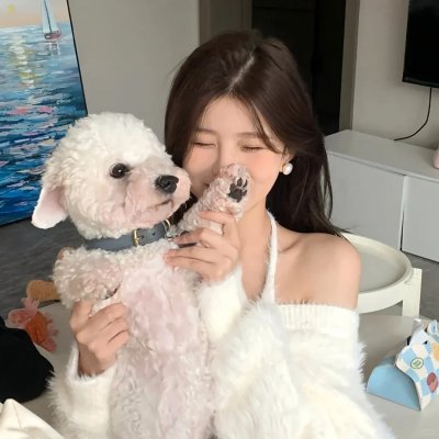 犬之力