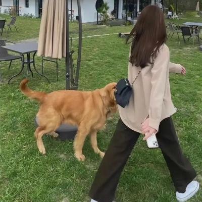 妖姬也疯狂