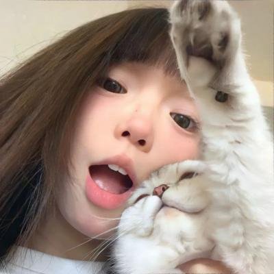 冻结的城市
